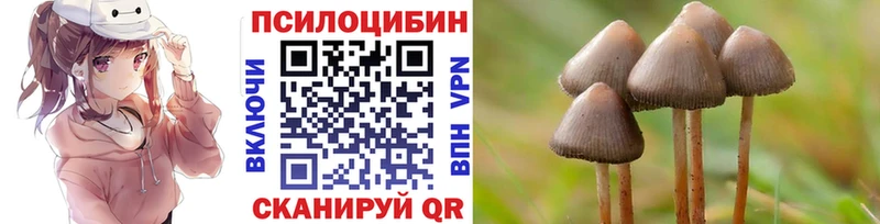 дарнет шоп  Собинка  Галлюциногенные грибы Psilocybe 